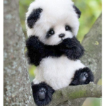Love panda group also come here if you were betray
