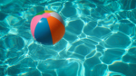 Paradise Bay Parks