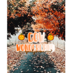 Cow wonderland