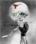 Longhorns fans