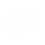 DEVELOPING IDEAS