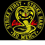 | Cobra Kai Training Dojo |