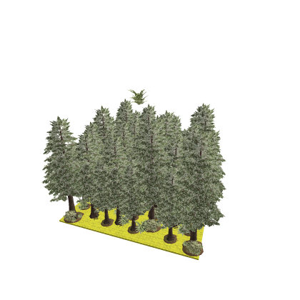 Forest commission