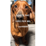 VORTS DHC