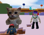 Team Katze Superstar