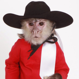 Old monkey city