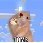 El mundo d océano UwU