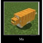 Miaumiau