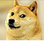 Doge_kindom