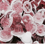 Bubbles bubblys