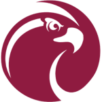 Team DevFalcons