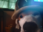 The dog's community!!!!!!