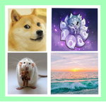 Doge, Rats & Foxes Aesthetic Fan Group! :D
