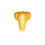 주지