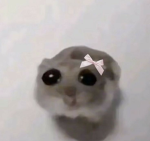 DahoodxSanrio