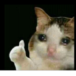 No sorteo