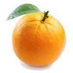 Oranges United