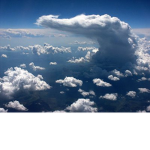 The Happy Animals