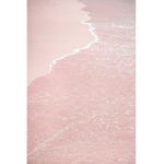 Pinky sea squad