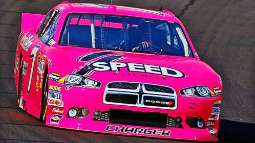 Pink Racers! (RACING ROLEPLAY GAME!)