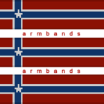 Norske Vasilyister