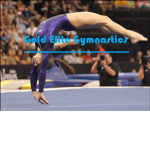 Gold Elite Gymnastics