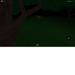 Camping With The Yellow bois