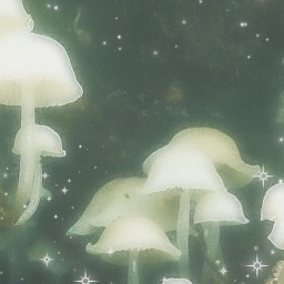 𝐚𝐧𝐝