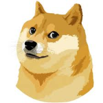 IMP DOGE SOCIETY / Plane Crazy