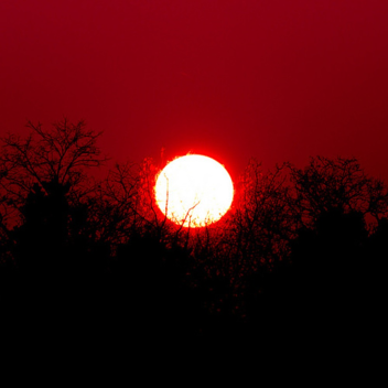 Um belo banho de sol