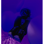 The NightHowler