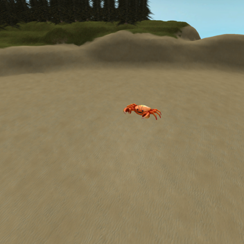 A Beach
