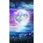 King of Moon