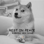 Fan group of doge