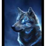 # team lobo xd