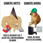 gato :))))))))))))))