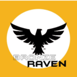 Bronze Ravens