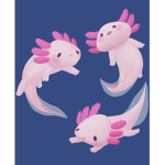 axolotl$barbz