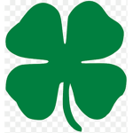 Irish Raiders (IR)