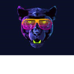 Panthers are cool