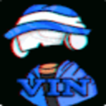 Vin ENT