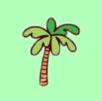 jcxqn