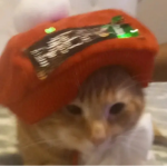 Supreme taco group