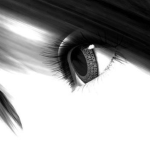 - Lara's Group -