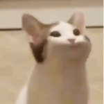 Jonathon popcat friends group