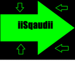 iiThe Squadii