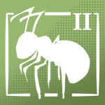 Insect Individuals