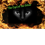 The Eyes of the Feline