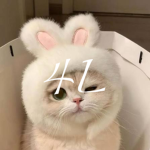 4L$