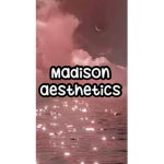 Madison aesthetic